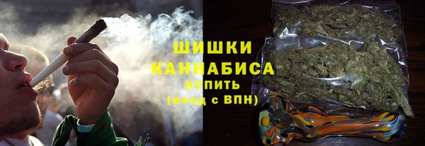 крисы Новозыбков
