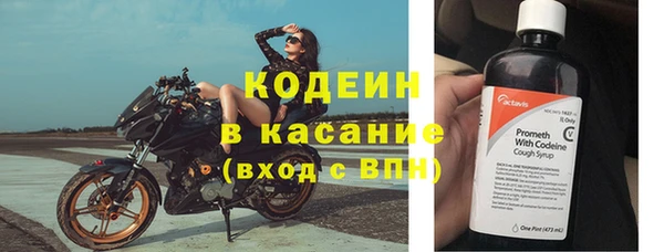 крисы Новозыбков