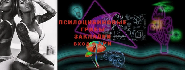 крисы Новозыбков
