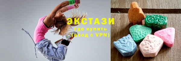 крисы Новозыбков