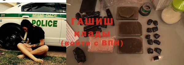крисы Новозыбков
