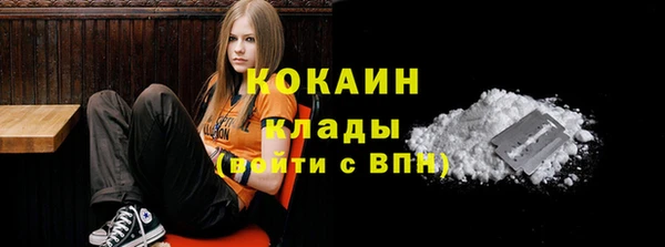 крисы Новозыбков