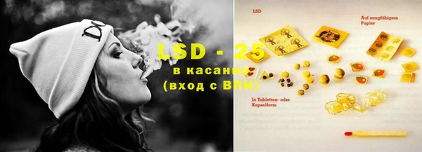 эйфоретик Новодвинск