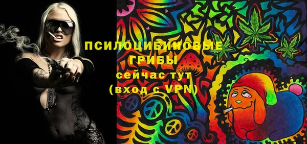 эйфоретик Новодвинск