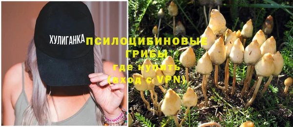 эйфоретик Новодвинск