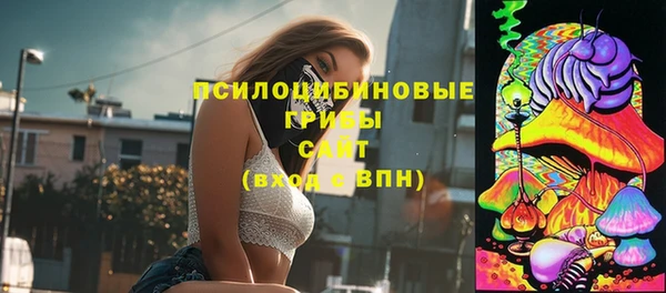 эйфоретик Новодвинск