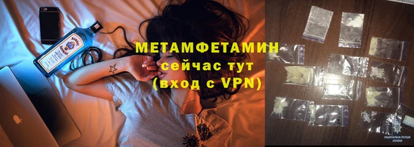 крисы Новозыбков