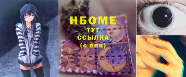 крисы Новозыбков