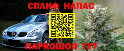 прущие грибы Азнакаево