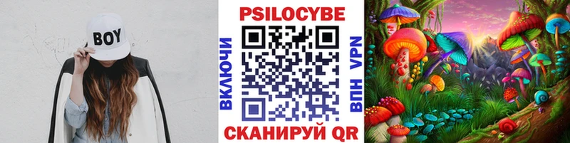 МЕГА ссылки  Кизляр  Псилоцибиновые грибы MAGIC MUSHROOMS  купить наркоту 
