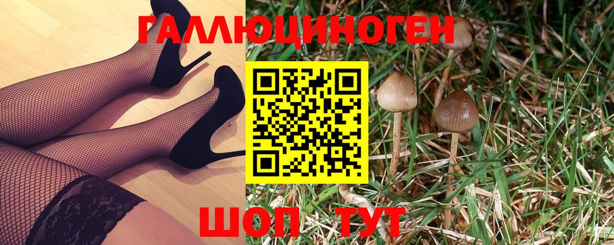 Галлюциногенные грибы прущие грибы  Кизляр 