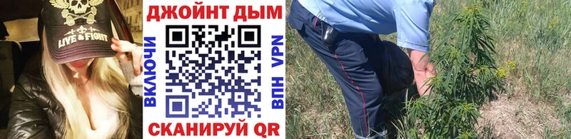 как найти закладки  Кизляр  Каннабис тримм 
